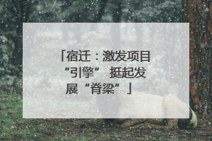 宿迁：激发项目“引擎” 挺起发展“脊梁”
