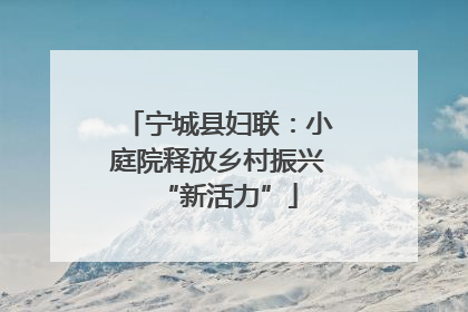 宁城县妇联：小庭院释放乡村振兴“新活力”