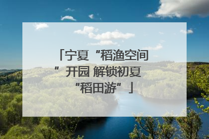 宁夏“稻渔空间”开园 解锁初夏“稻田游”