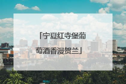 宁夏红寺堡葡萄酒香漫贺兰