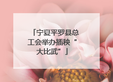 宁夏平罗县总工会举办插秧“大比武”