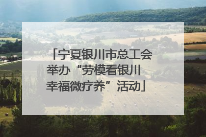 宁夏银川市总工会举办“劳模看银川 幸福微疗养”活动