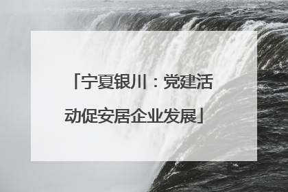 宁夏银川：党建活动促安居企业发展