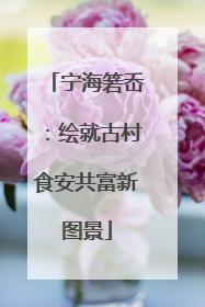 宁海箬岙：绘就古村食安共富新图景