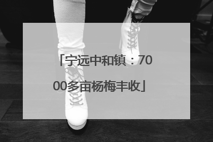 宁远中和镇：7000多亩杨梅丰收