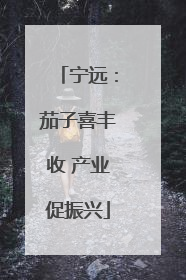宁远：茄子喜丰收 产业促振兴