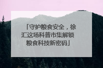 守护粮食安全，徐汇这场科普市集解锁粮食科技新密码