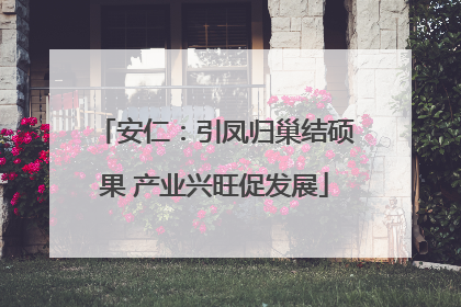安仁：引凤归巢结硕果 产业兴旺促发展