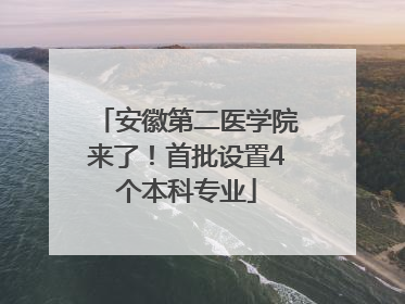 安徽第二医学院来了！首批设置4个本科专业
