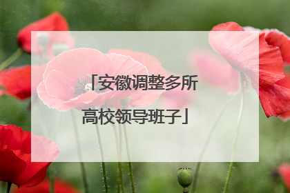 安徽调整多所高校领导班子