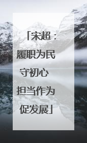宋超：履职为民守初心 担当作为促发展