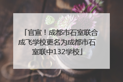 官宣！成都市石室联合成飞学校更名为成都市石室联中132学校
