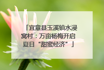 宜章县玉溪镇水浸窝村：万亩杨梅开启夏日“甜蜜经济”