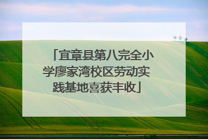 宜章县第八完全小学廖家湾校区劳动实践基地喜获丰收