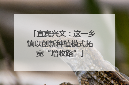 宜宾兴文：这一乡镇以创新种植模式拓宽“增收路”