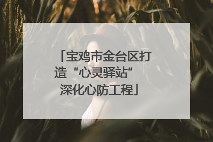 宝鸡市金台区打造“心灵驿站” 深化心防工程