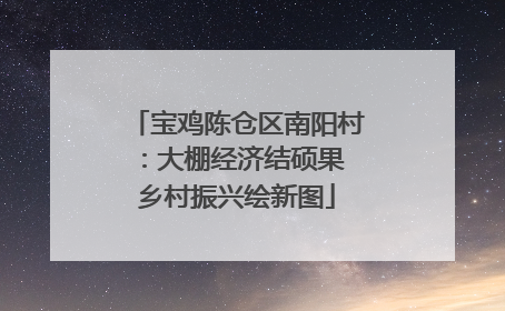 宝鸡陈仓区南阳村：大棚经济结硕果 乡村振兴绘新图