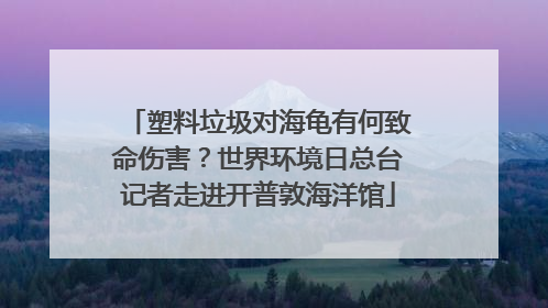 塑料垃圾对海龟有何致命伤害？世界环境日总台记者走进开普敦海洋馆