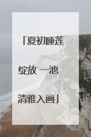 夏初睡莲绽放 一池清雅入画