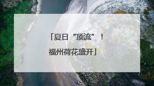 夏日“顶流”！福州荷花盛开