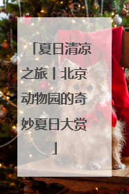 夏日清凉之旅丨北京动物园的奇妙夏日大赏