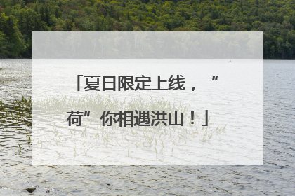 夏日限定上线，“荷”你相遇洪山！