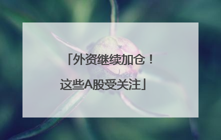 外资继续加仓！这些A股受关注