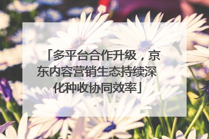 多平台合作升级，京东内容营销生态持续深化种收协同效率