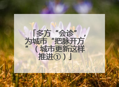 多方“会诊”，为城市“把脉开方”（城市更新这样推进①）