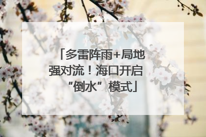 多雷阵雨+局地强对流！海口开启“倒水”模式