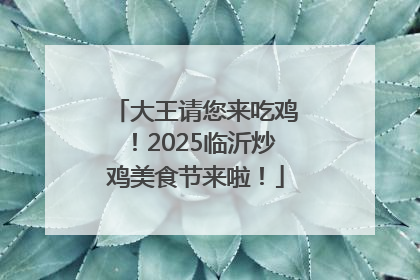 大王请您来吃鸡！2025临沂炒鸡美食节来啦！