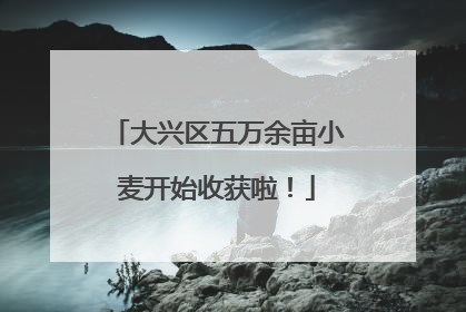 大兴区五万余亩小麦开始收获啦！