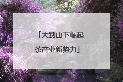 大别山下崛起茶产业新势力