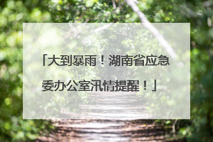 大到暴雨！湖南省应急委办公室汛情提醒！