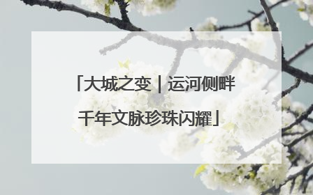 大城之变｜运河侧畔 千年文脉珍珠闪耀