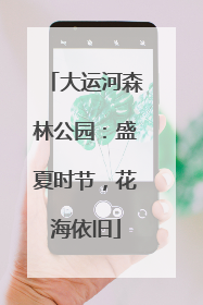 大运河森林公园：盛夏时节，花海依旧