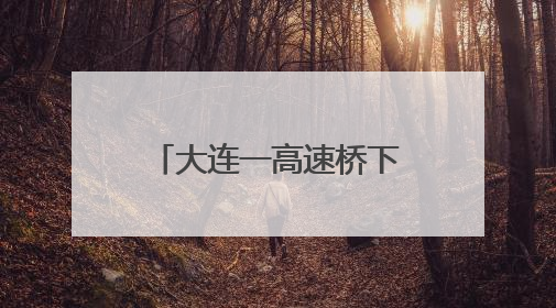 大连一高速桥下建筑垃圾堆积 记者采访后垃圾神奇“消失”