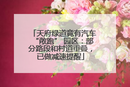 天府绿道竟有汽车“敞跑” 园区：部分路段和村道重叠，已做减速提醒