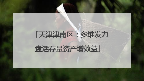 天津津南区：多维发力盘活存量资产增效益