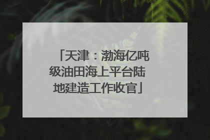 天津：渤海亿吨级油田海上平台陆地建造工作收官