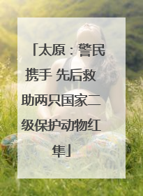 太原：警民携手 先后救助两只国家二级保护动物红隼