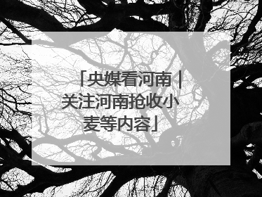 央媒看河南｜关注河南抢收小麦等内容