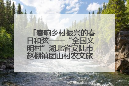 奏响乡村振兴的春日和弦——“全国文明村”湖北省安陆市赵棚镇团山村农文旅融合发展见闻