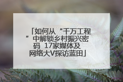 如何从“千万工程”中解锁乡村振兴密码  17家媒体及网络大V探访蓝田
