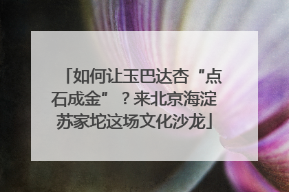 如何让玉巴达杏“点石成金”？来北京海淀苏家坨这场文化沙龙