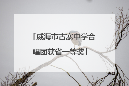 威海市古寨中学合唱团获省一等奖