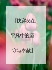快递员在平凡中的坚守与奉献