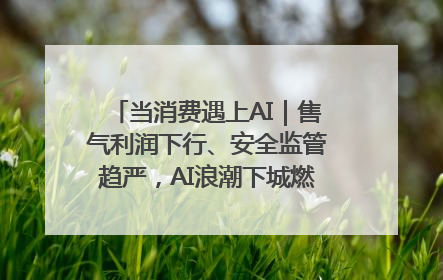 当消费遇上AI｜售气利润下行、安全监管趋严，AI浪潮下城燃企业如何破局