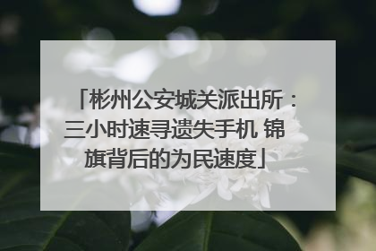 彬州公安城关派出所：三小时速寻遗失手机 锦旗背后的为民速度