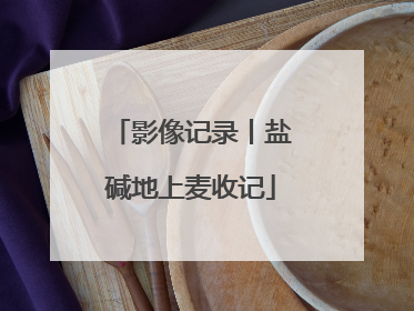 影像记录丨盐碱地上麦收记